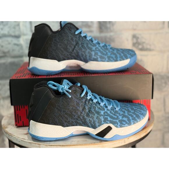 Jordan 29 XX9 Low UNC Size 7.5 New in box Rare grail 828051-401 main image 2